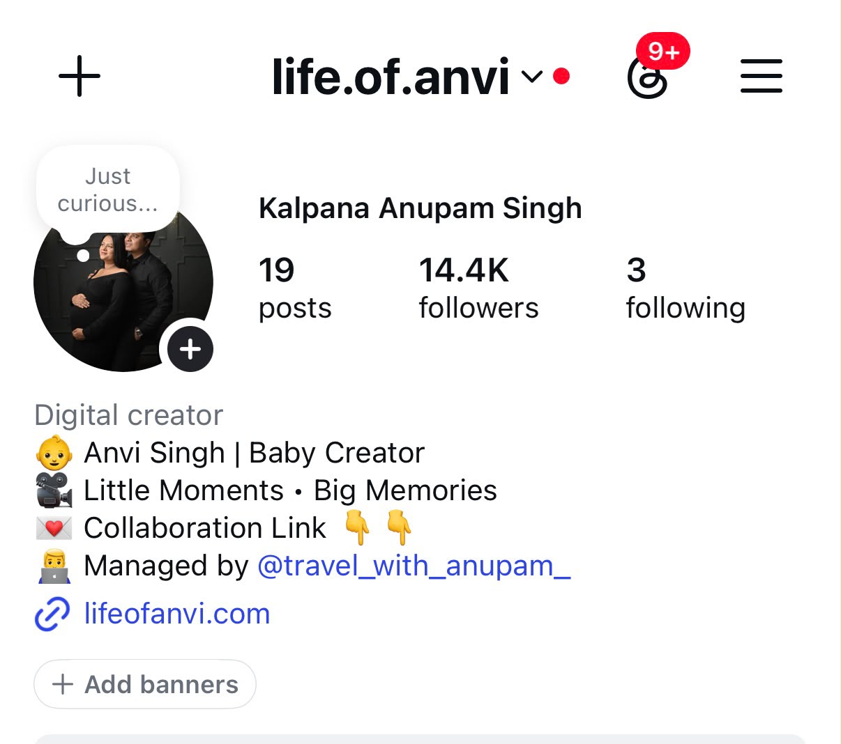 Instagram Profile Overview